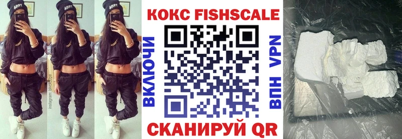 площадка клад  мега   Шлиссельбург  цена наркотик  Cocaine Fish Scale 