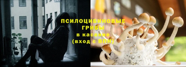 spice Надым