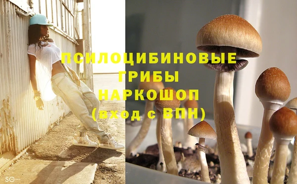 ГАЛЛЮЦИНОГЕННЫЕ ГРИБЫ Навашино