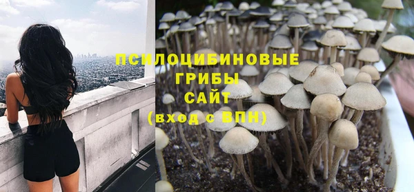 PSILOCYBIN Ахтубинск