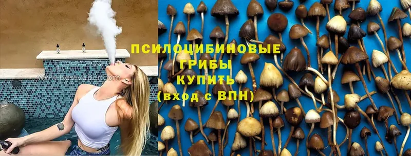 hydra вход  сколько стоит  Шлиссельбург  Галлюциногенные грибы MAGIC MUSHROOMS 